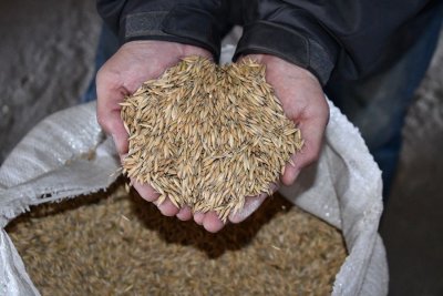 Россельхознадзор проконтролировал первые поставки семян сельхозрастений в Якутию