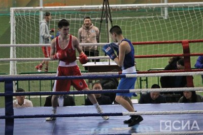 Боксёры из 19 команд сразятся за медали чемпионата Якутии