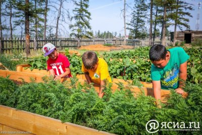 В Якутии состоится первый этап всероссийского конкурса школьников «АгроНТРИ»