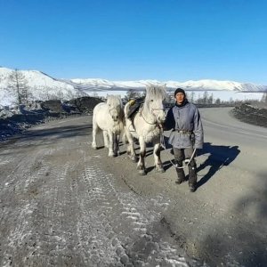 Дугуйдан Винокуров завершил конный поход из Оймякона в Сеймчан