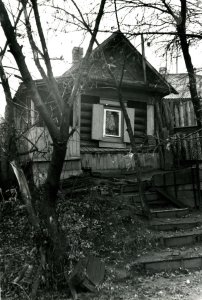 Жилой дом (деревянный) с резьбой /  / Нижегородская область