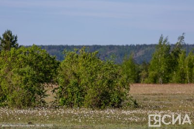 Республиканский туристический слет молодежи пройдет в июне в Сунтарском районе / ЯСИА Кемпендяй Сунтарский Республика Саха (Якутия)