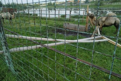 В Якутии от урагана пострадал зоопарк «Орто Дойду»