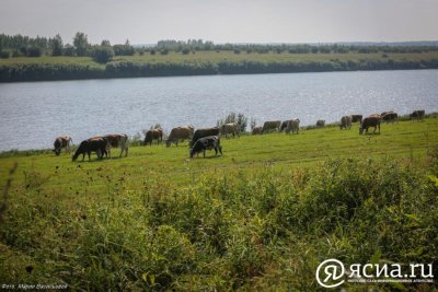 Две семейные фермы из Якутии выиграли гранты на развитие агротуризма