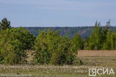 Экологический центр АЛРОCА | VK