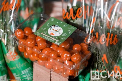 Тепличный комплекс «Саюри» в Якутске произвел около 1700 тонн огурцов, томатов и зелени