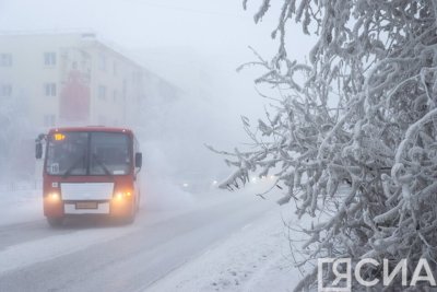 В Якутске дополнительно привлекут водителей для работы на маршрутных автобусах / ЯСИА Якутск Якутск Республика Саха (Якутия)