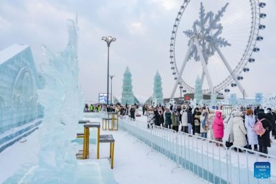 Якутские мастера заняли два призовых места на международном конкурсе ледовых скульптур в Харбине