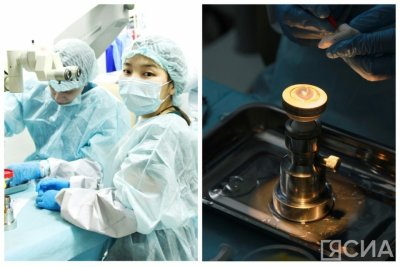 «Ни один человек не пострадал»: якутских офтальмологов обучают проводить операции на свиных глазах