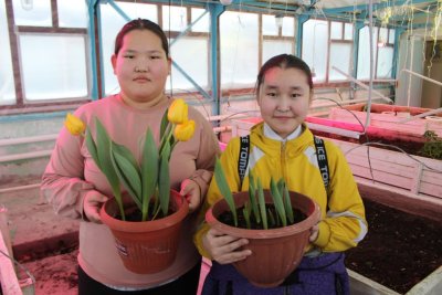 В Хангаласском районе Якутии школьники круглогодично выращивают овощи, цветы и ягоды