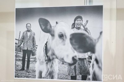 В Якутске открылась фотовыставка популярного фотографа из Исландии