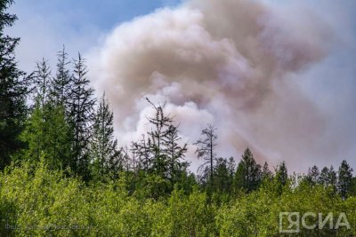 В Якутии с июня по август прогнозируют высокую пожарную опасность в лесах