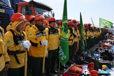 В департаменте лесного надзора и охраны лесов Якутии рассказали о подготовке к пожароопасному сезону