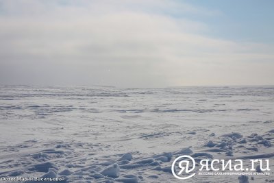 Айсен Николаев: «НОЦ «Север» усилит работу по климатической повестке»