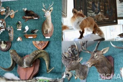 В Якутске открылась выставка трофеев «Охота и охотничьи традиции»