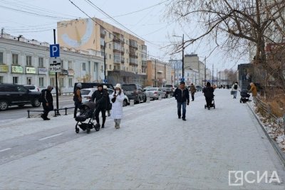 Контроль над соблюдением правил благоустройства намерены усилить в Якутске