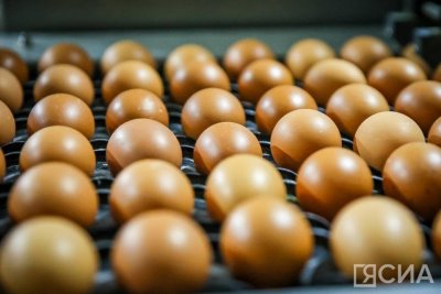 Готовимся к Пасхе: как долго можно хранить куриные яйца