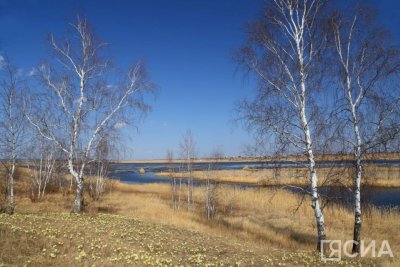 В Якутии обнаружили 26 термоточек, возникших из-за сельхозпалов
