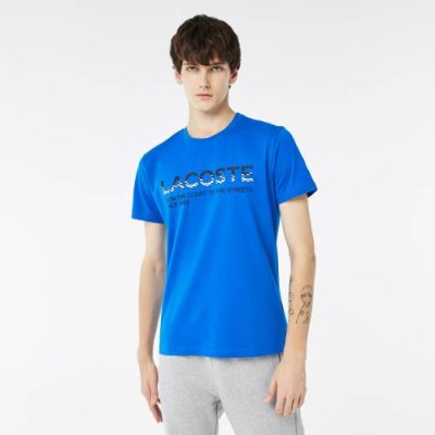 Мужская футболка Lacoste Regular Fit / Футболки | Одежда, обувь и аксессуары | V4.Ru: Маркетплейс