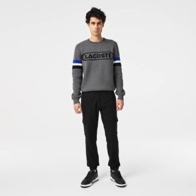 Мужские брюки Lacoste jogger Fit / Брюки и джинсы | Одежда, обувь и аксессуары | V4.Ru: Маркетплейс