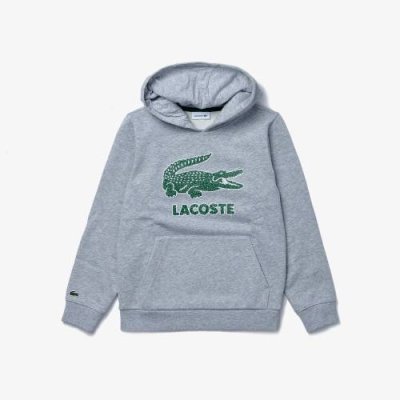 Детская флисовая толстовка Lacoste / Толстовки / Мальчики | Одежда, обувь и аксессуары | V4.Ru: Маркетплейс