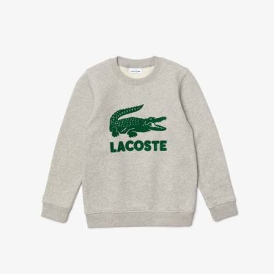 Детский тёплый свитшот Lacoste из флиса / Толстовки / Мальчики | Одежда, обувь и аксессуары | V4.Ru: Маркетплейс