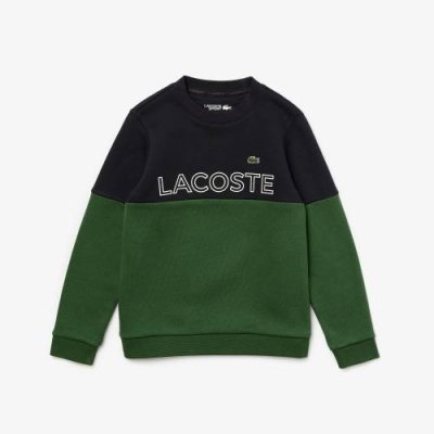 Детская тёплая толстовка Lacoste SPORT из флиса / Толстовки / Мальчики | Одежда, обувь и аксессуары | V4.Ru: Маркетплейс