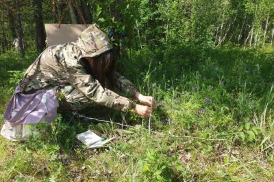 Экологическую экспедицию провели школьники в Амгинском районе Якутии / ЯСИА   