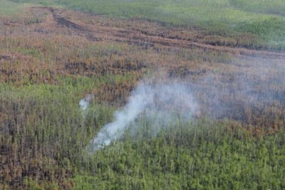 Более 50 населённых пунктов Якутии попали в зону задымления / ЯСИА   