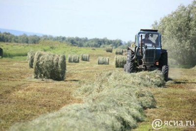 В районах Якутии обеспечат работу мобильных бригад по заготовке сена / ЯСИА   