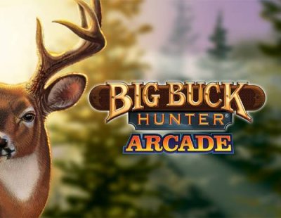 Big Buck Hunter Arcade (PC) / Игры для ПК | Компьютерная техника | V4.Ru: Маркетплейс