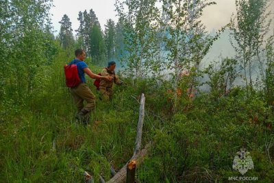 К Ергетскому наслегу в Верхневилюйском районе приблизился второй лесной пожар / ЯСИА   