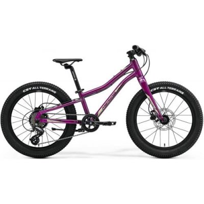 Подростковый велосипед Merida Matts J.20+ Pro, 20", 2022, RU39672 (Цвет Purple/Black) / Подростковые | Спорт и отдых | V4.Ru: Маркетплейс