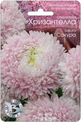 Астра Хризантелла Сакура 30 шт / Астра | Дача, сад и огород | V4.Ru: Маркетплейс