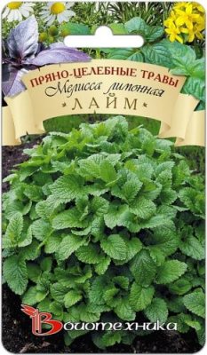 Мелисса лимонная Лайм 0,2 гр / Домашняя аптека | Дача, сад и огород | V4.Ru: Маркетплейс