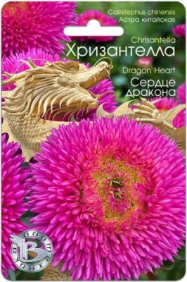 Астра Хризантелла Сердце дракона 30 шт / Астра | Дача, сад и огород | V4.Ru: Маркетплейс