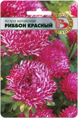 Астра Риббон Рэд 30 шт / Астра | Дача, сад и огород | V4.Ru: Маркетплейс