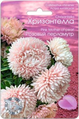 Астра Хризантелла Розовый перламутр 30 шт / Астра | Дача, сад и огород | V4.Ru: Маркетплейс