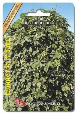 Хмель обыкновенный Душистая гроздь 30 шт / Хмель | Дача, сад и огород | V4.Ru: Маркетплейс