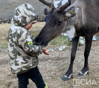 зоофилия порно: змея в киске видео