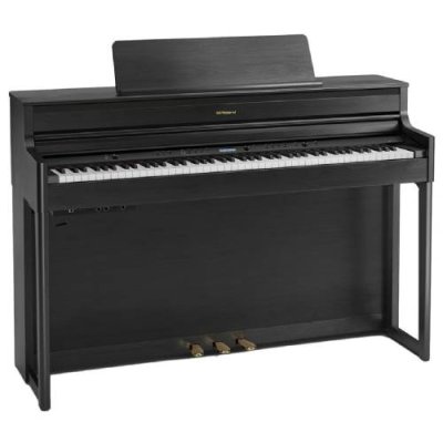 Roland HP704 CН - чёрный уголь / HP | Товары для дома | V4.Ru: Маркетплейс