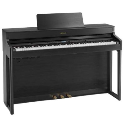 Roland HP702 CН - чёрный уголь / HP | Товары для дома | V4.Ru: Маркетплейс