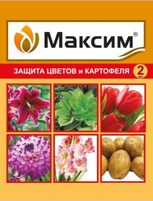 Максим, защита цветов и картофеля пластик амп. 2 мл Защита растений от болезней / Дача, сад и огород | V4.Market