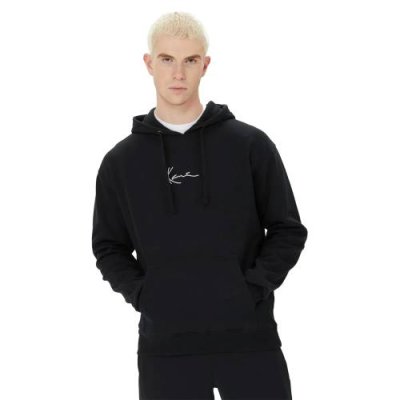 SMALL SIGNATURE HOODIE / Толстовки | Одежда, обувь и аксессуары | V4.Ru: Маркетплейс