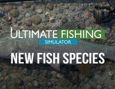 Ultimate Fishing Simulator - New Fish Species (PC) / Игры для ПК | Компьютерная техника | V4.Ru: Маркетплейс