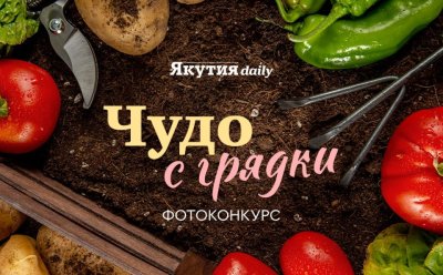 Пришлите фото «чуда» с грядки и получите приз / ЯСИА   Республика Саха (Якутия)