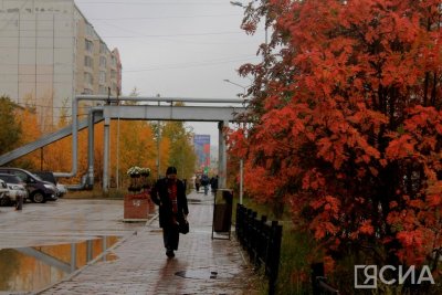 Снижение иммунитета и обострение хронических болезней: чем опасна осень для здоровья / ЯСИА   