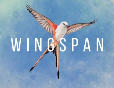 Wingspan (PC) / Игры для ПК | Компьютерная техника | V4.Ru: Маркетплейс