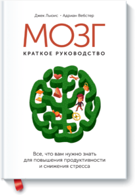 Мозг: краткое руководство Саморазвитие / Книги | V4.Market