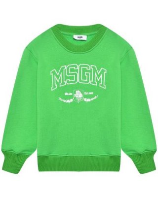 Свитшот с принтом логотипа, зеленый MSGM / Толстовки, Свитшоты | Одежда, обувь и аксессуары | V4.Ru: Маркетплейс